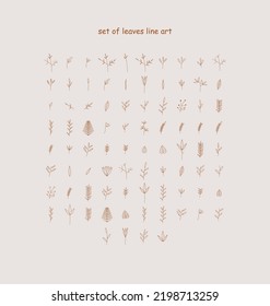 set of leaves line art