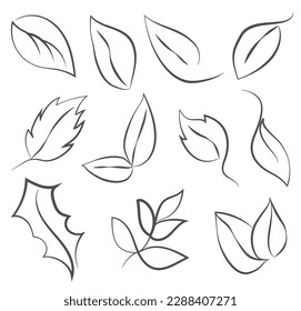 Set of leaves in line art style, sketch drawing, symbolizing eco, ecology