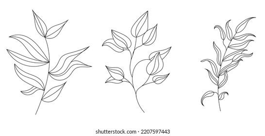 Set of leaves line drawing art. perfect for home decor such as poster, wall art, printed t-shirt, stiker, cell phone cases. Botanical line art