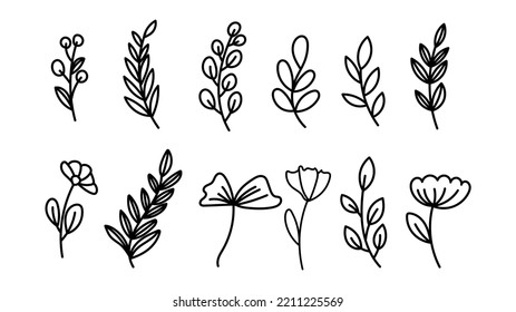 Set Leaves of many shapes hand drawn lines .isolated on white background ,Vector illustration EPS 10