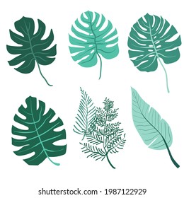 Set of leaves monstera. tropical leaves on a white background. jungle leaves. stock vector illustration with elements for leaf design.