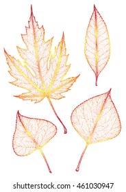 Set leaves of multicolored. Vector illustration. EPS 10.