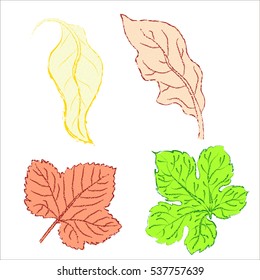 Set leaves of multicolored. Vector illustration.