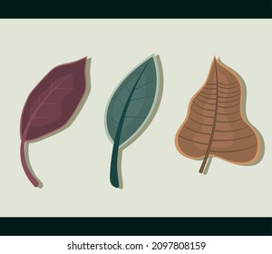 set of leaves natural with shadow