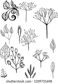 set  leaves nature  plants