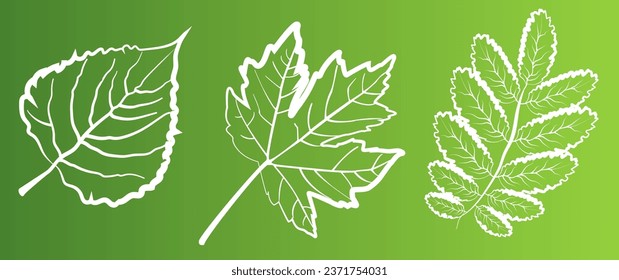 A set of leaves on a green background, for logos, icons, designs, for the symbolism of the green planet
