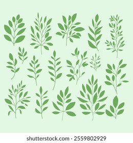 Set of leaves on a green background. Botanical with plant elements. Green branches collection