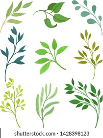 Set of leaves on the stems. Vector illustration on white background.
