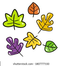Set leaves on white background