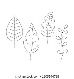set of leaves outline vector 