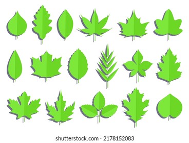 1,711 Tree papercut template Images, Stock Photos & Vectors | Shutterstock