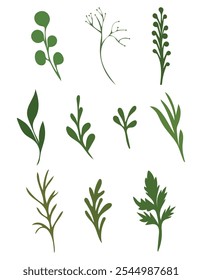 Set of leaves, perfect for botanical designs, nature illustrations, and decorative projects.