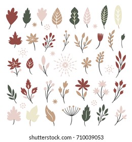 Set of leaves and plants, isolated on white background
