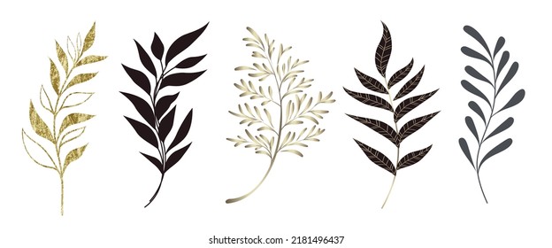 Set of leaves silhouette of beautiful plants, leaves, plant design. Vector illustration 20.