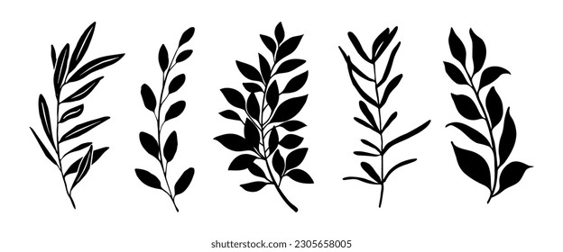 Set of leaves silhouette of beautiful plants, leaves, plant design. Vector illustration 