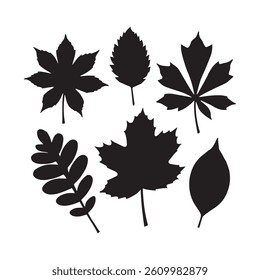 Set of leaves silhouette of beautiful plants, leaves, plant design. Vector illustration white Background.