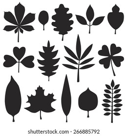 Set of  leaves silhouette. Vector illustration.
