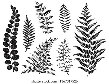 Set of leaves silhouettes, hand drawn vector illustration.