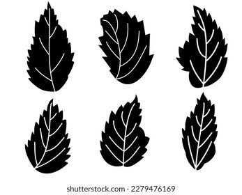 Set of leaves silhouettes isolated on white background. leaves vector illustration.  Icons set isolated on black. Design element for frame, logo, prints, posters, template, abstract vector background.