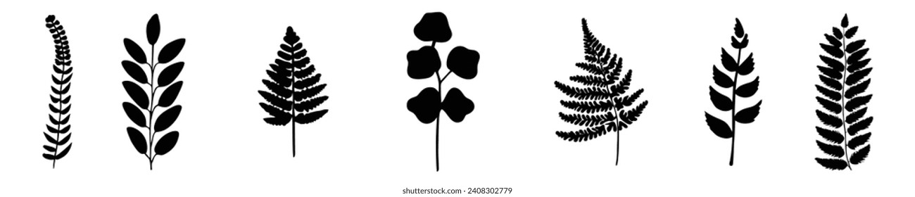 Set of leaves silhouettes isolated on white background Set of tree branches, eucalyptus, palm leaves, herbs and flowers silhouettes