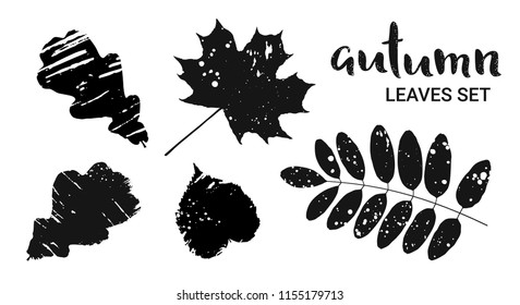 Set of leaves silhouettes with a texture of spray. Vector illustration isolated on white background.