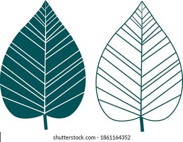 Set leaves silhouettes vector illustration