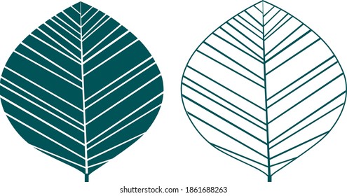 Set leaves silhouettes vector illustration