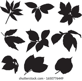 Set of leaves silhouttes design elements