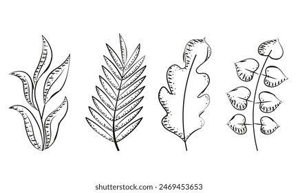 Set of leaves sketch icons Vector illustration