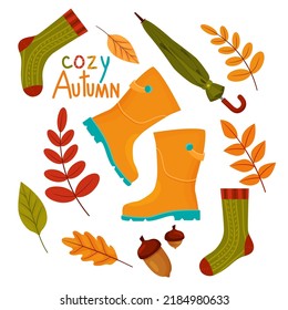 Set with leaves, socks, lettering cozy autumn and rubber boots. Vector illustration isolated on the white background for fall cartoon design.