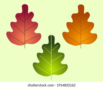A set of leaves of three colors. Color vestor illustration.