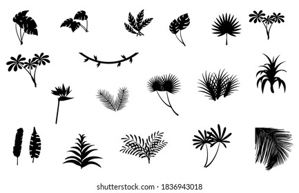 set of Leaves and trees silhouette