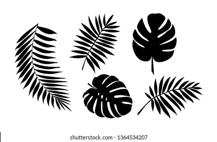 set of leaves of tropical plants. Botanical set, flat design