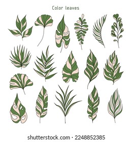 Set of leaves. Tropical plants. Herbarium. Perfect for herbal products designs.