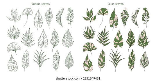 Set of leaves. Tropical plants. Herbarium. Perfect for herbal products designs.