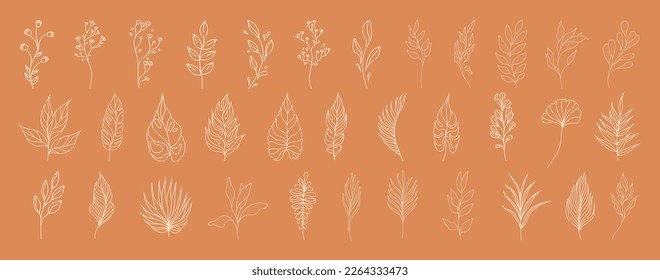 Set of leaves. Tropical plants. Herbarium. Perfect for herbal products designs.