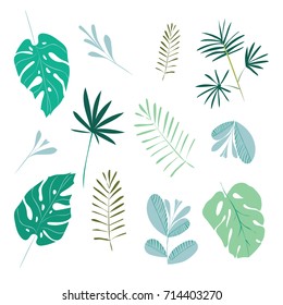 Set of leaves of tropical plants. Vector illustration, isolated on white background.