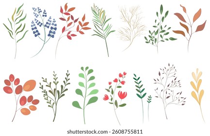 set of leaves and twigs in a colored style drawn with a pen in a flat design style