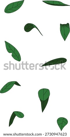 Set of leaves with unique position and point of view. It make easier to draw a tree since draw a leaves take a bunch of a time and if just copy one shape of leaves it looks boring. With this you can save your time and make your tree illustration more alive.