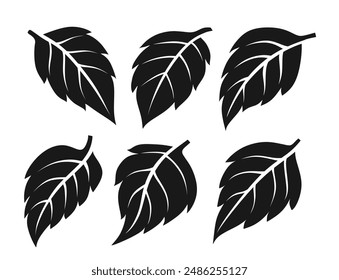 Set of Leaves vector. black leaf set with isolated white background.