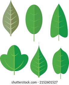A set of leaves vector icons for web, logo and graphic designing