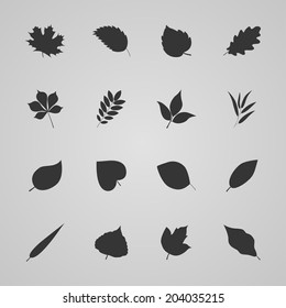 Set of leaves, vector illustration
