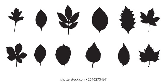 Set of leaves vector illustration