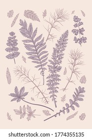 Mit Blättern. Vektorgrafik. Designelemente. Lilac und Rosa.