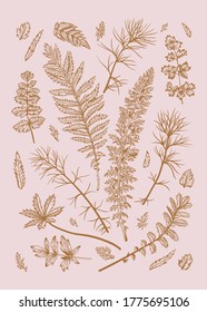 Fijado con hojas. Ilustración vectorial. Elementos de diseño. Rosa y oro.