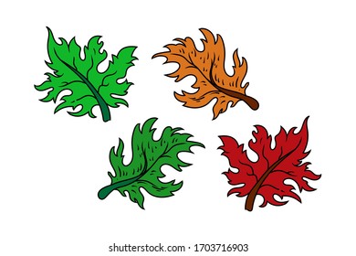 Set of Leaves vector illustration isolated on white background.