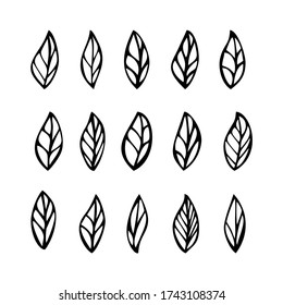 Set of Leaves Vector Nature illustration for element design. Hand drawn Leaves Outline. 