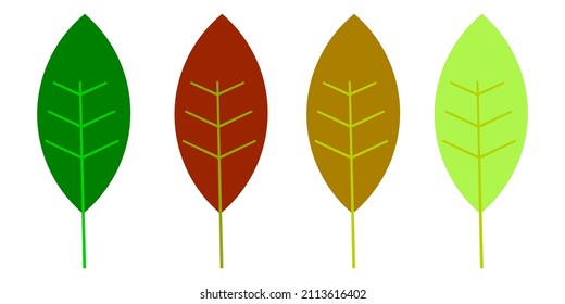 set of leaves vector on white background