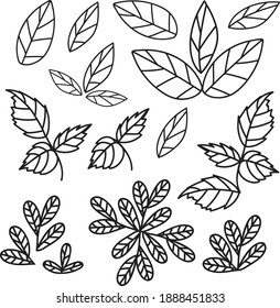 set of leaves vector outline isolated