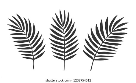 Set of Leaves. Vector. Silhouette